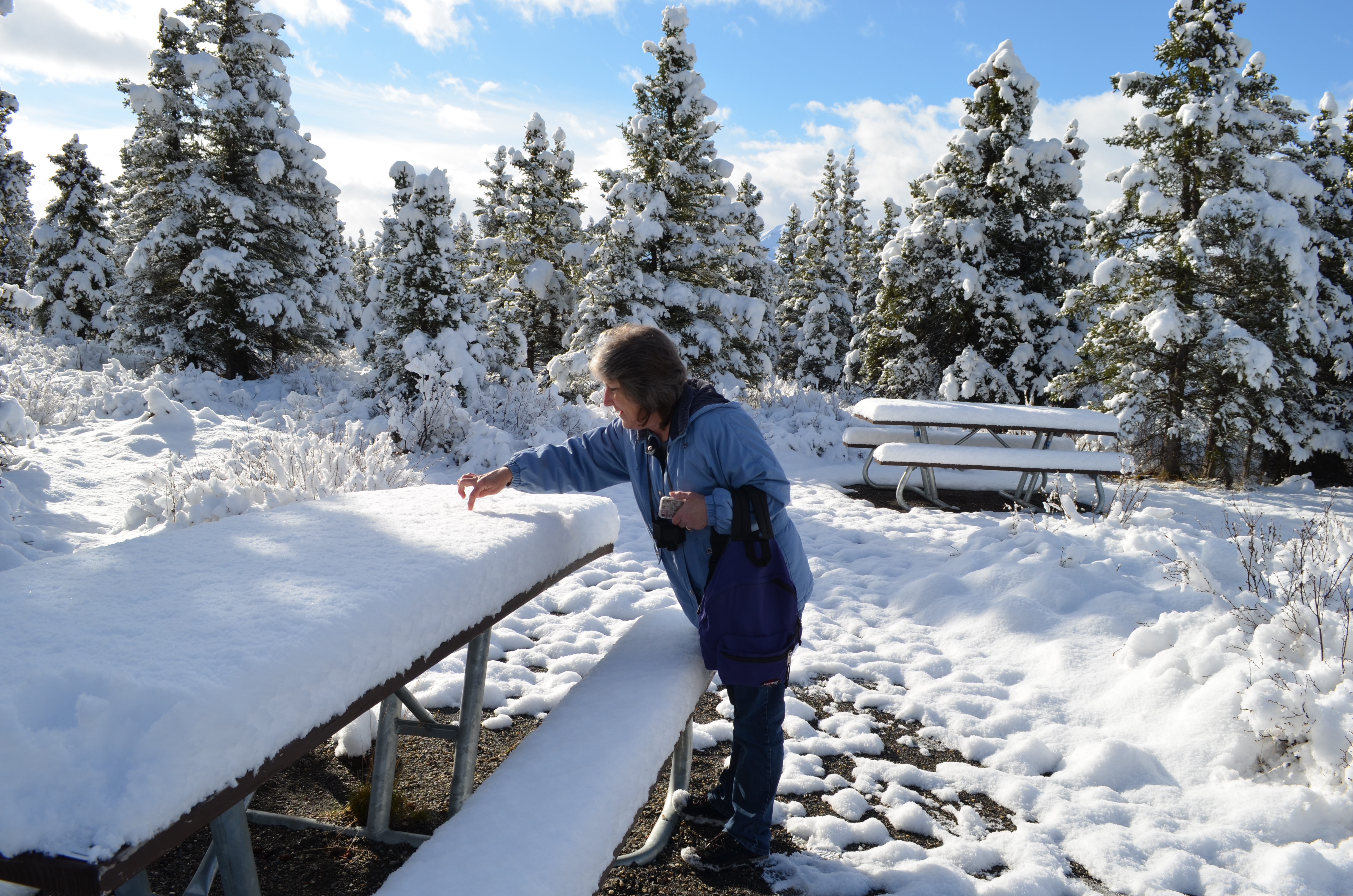 ./2017/08 - Alaska Cruise/03 - Denali/DSC_0261.JPG